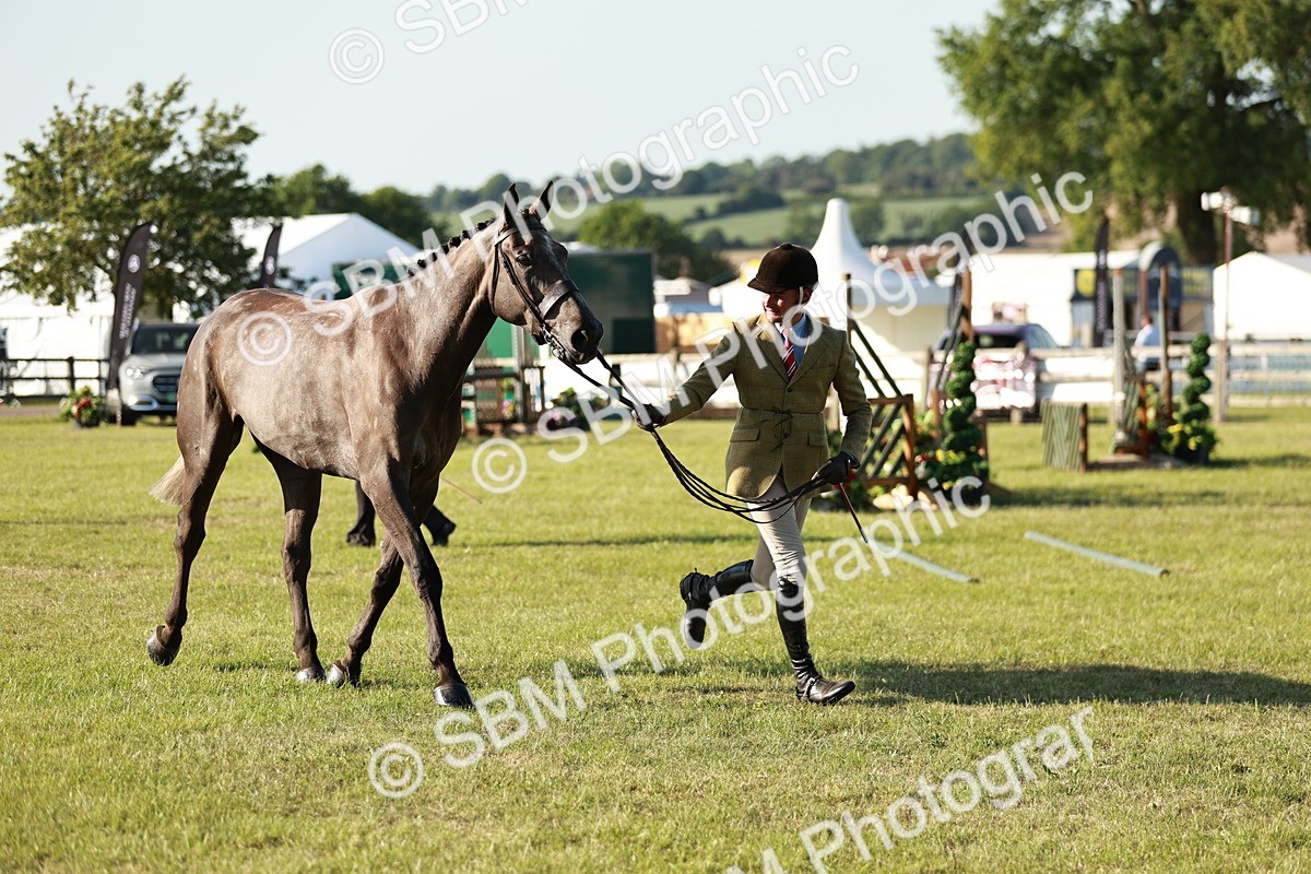 SBM_20171 - Class 117-119 - Sport Horse Working Hunter