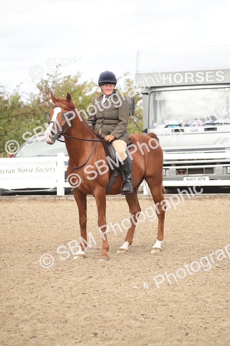 SBM_16546 - Class 506b - Working Veteran - 50cm (20+)