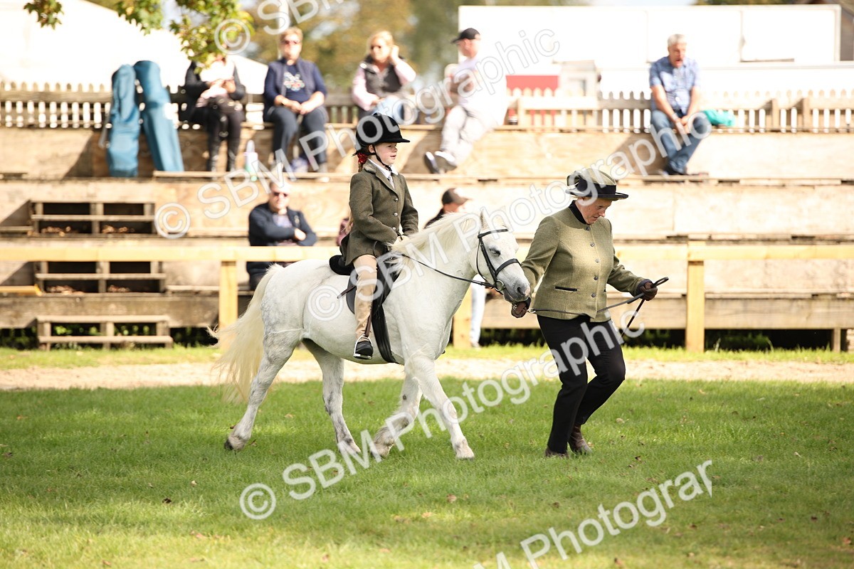 SBM_50031 - S26 - Young Veteran - Ridden