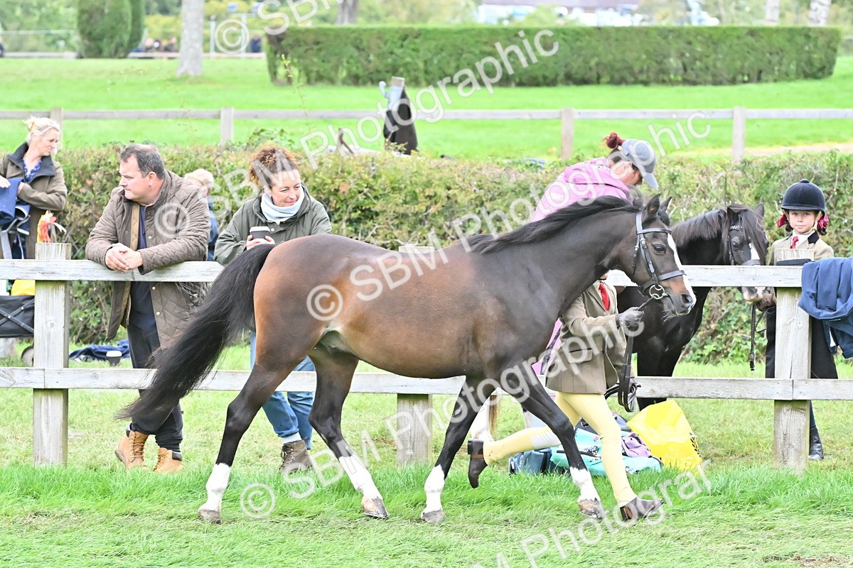 SBM_68525 - S42 - Junior Handler 9-12 Years