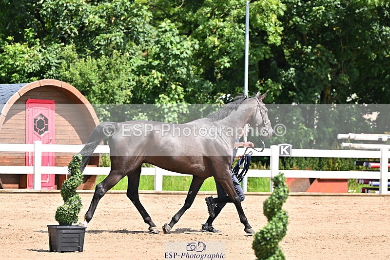 240718A-105245-01108 - Trot Up 12pm to 1pm