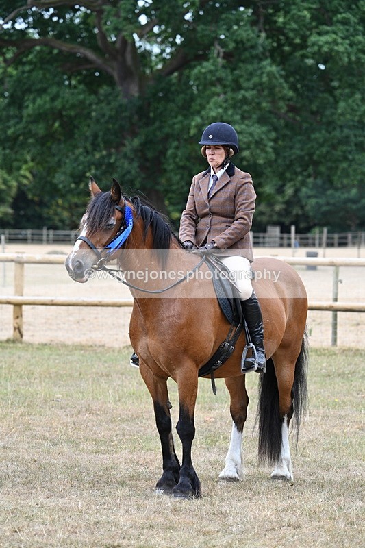 WJ7_0704 - Class 6 Ridden Mountain and Moorland
