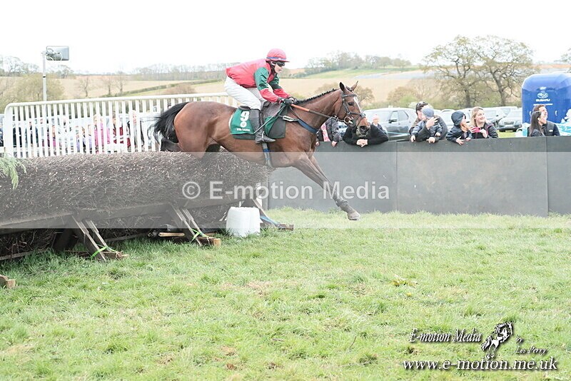 PtP 130425 291 - Edgecote Races 13/04/25