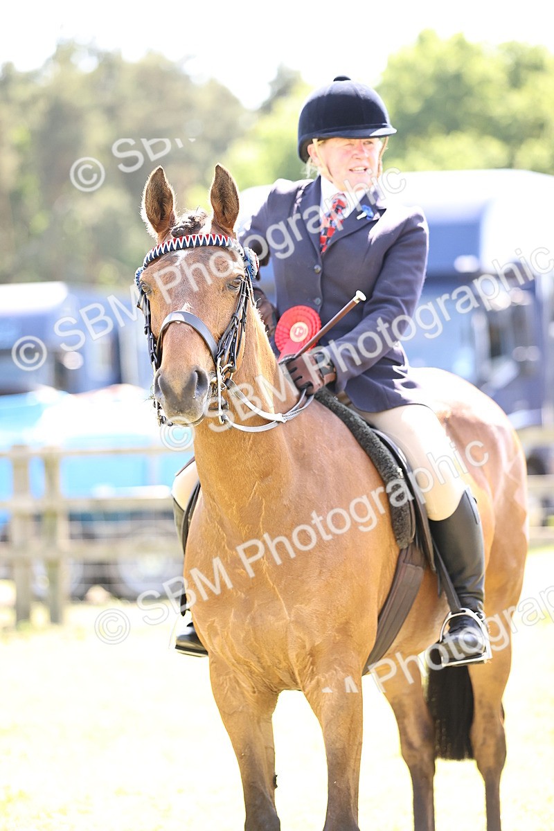 SBM_18069 - Class 81-83 - TSR Ridden Amateur of the Year - Horses