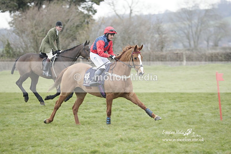 PtP 050323 791 - Blackmore & Sparkford Vale Hunt PtP - Somerset 05/03/23