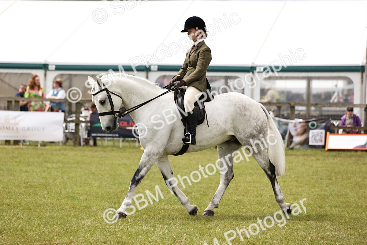 SBM_14588 - Class 88-89 - LIHS BSHA Rising Star of Ridden Hunter Type