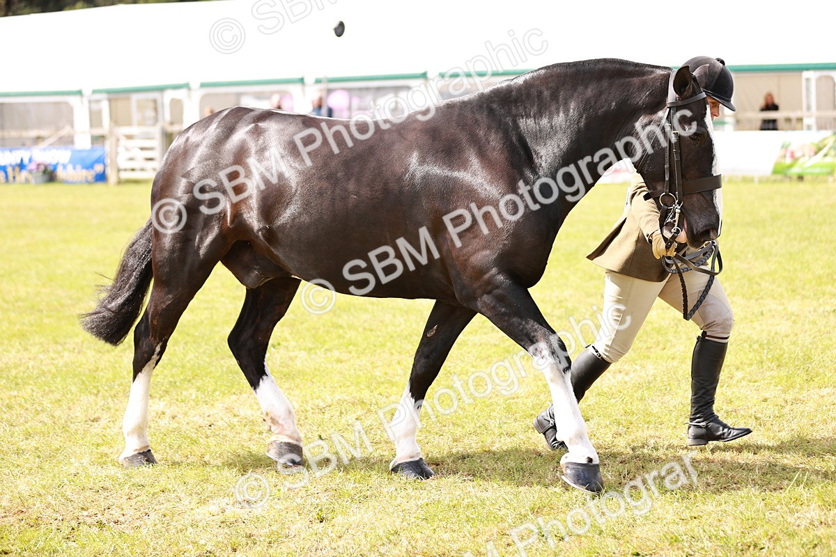 SBM_13134 - Class 85-87 - RIHS Cobs