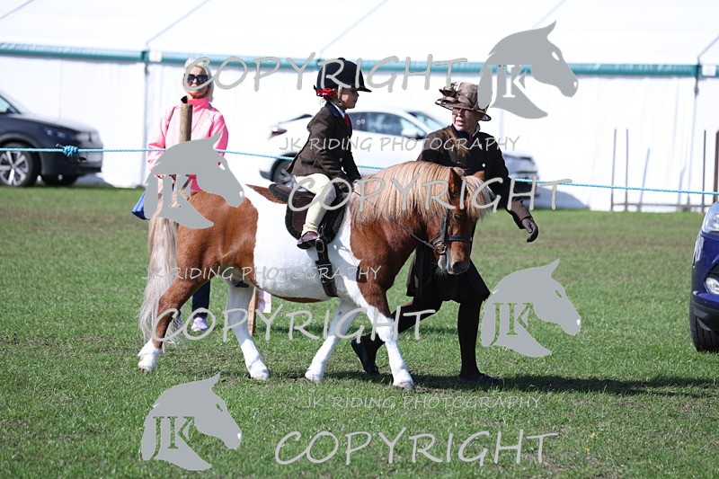 APP_3811 - Class 13 Lead rein