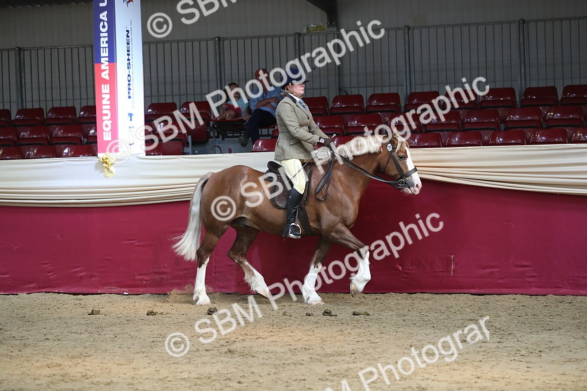 SBM_08322 - Class 11R Regional Ridden Veteran