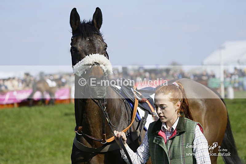 PtP 200322 167 - Mendip Farmers Point-to-Point 20/03/22