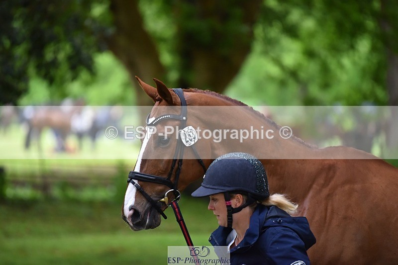 240522-165006-01185 - 263-CHILLI_MORNING_IV-Gemma_Stevens