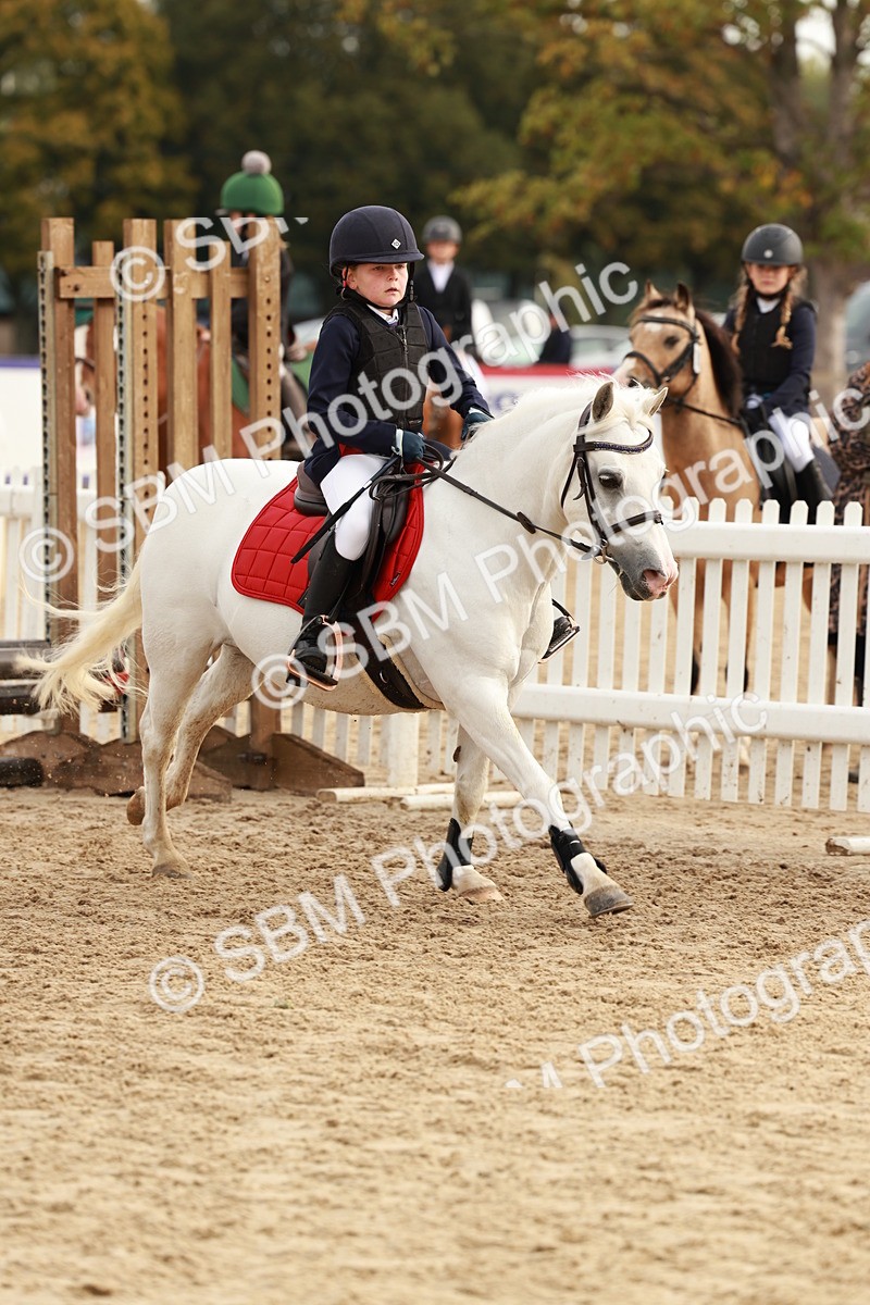SBM_55773 - J11 - Junior Pony 50cm Championship