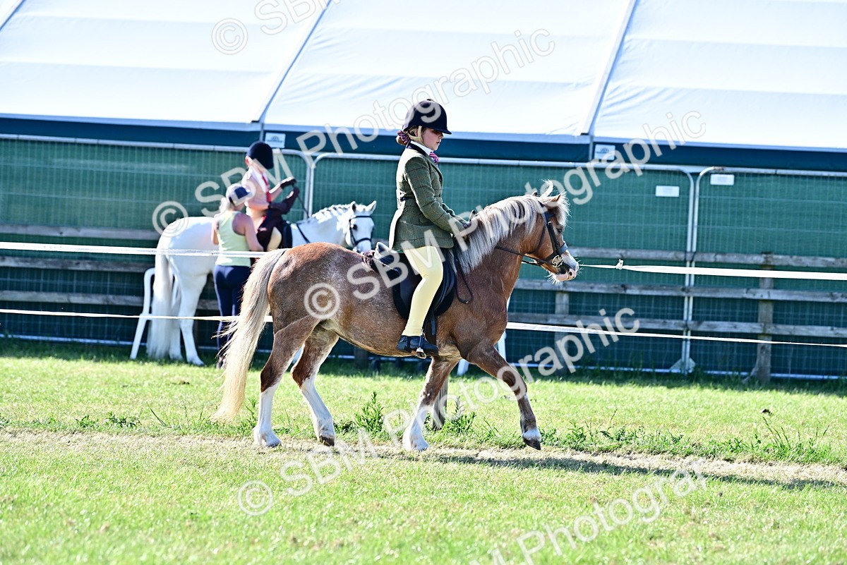 SBM_19846 - Class 103 - 105 - TSR Ridden Amateur of the Year Plaited Ponies