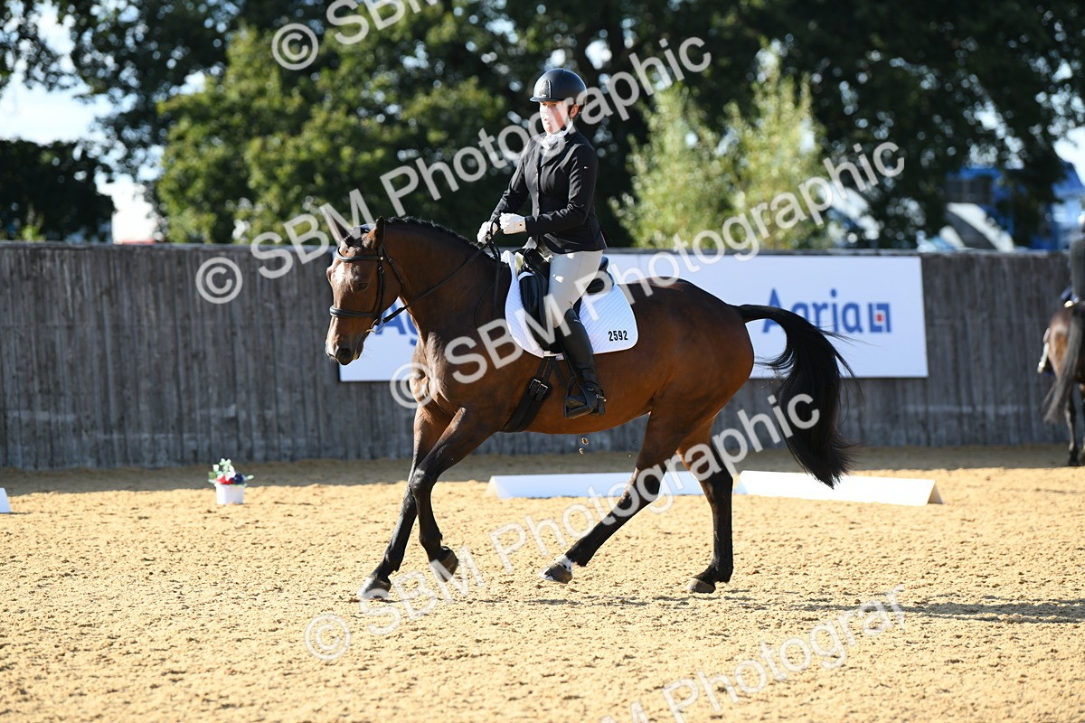 SBM_28425 - D16 - Small Tour Championship - Novice 28