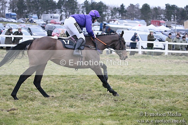 PtP 180218 866 - Combined Services Point-to-Point Larkhill 18/02/18