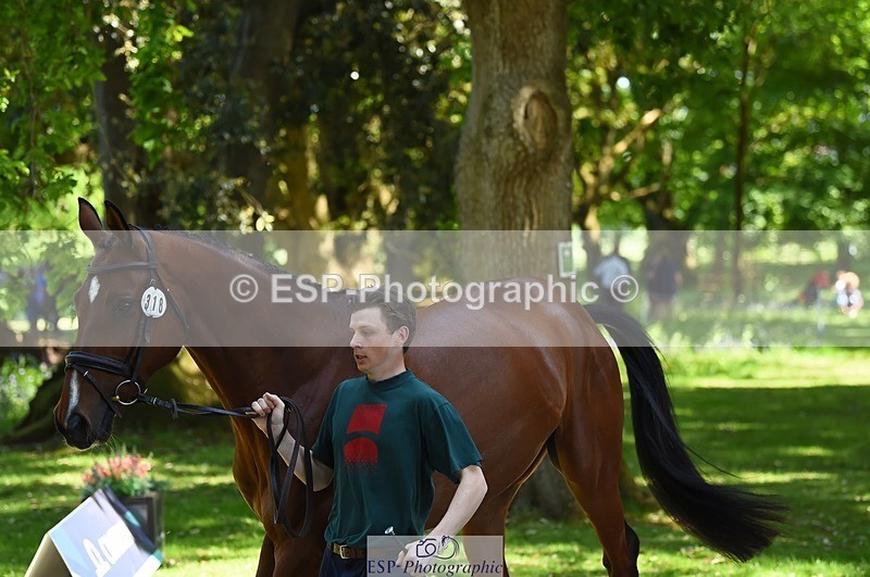 230524-151802-00192 - 318-JUST_HAVE_FAITH_TN-Alfie_Marshall-WEDTrotUp+DR