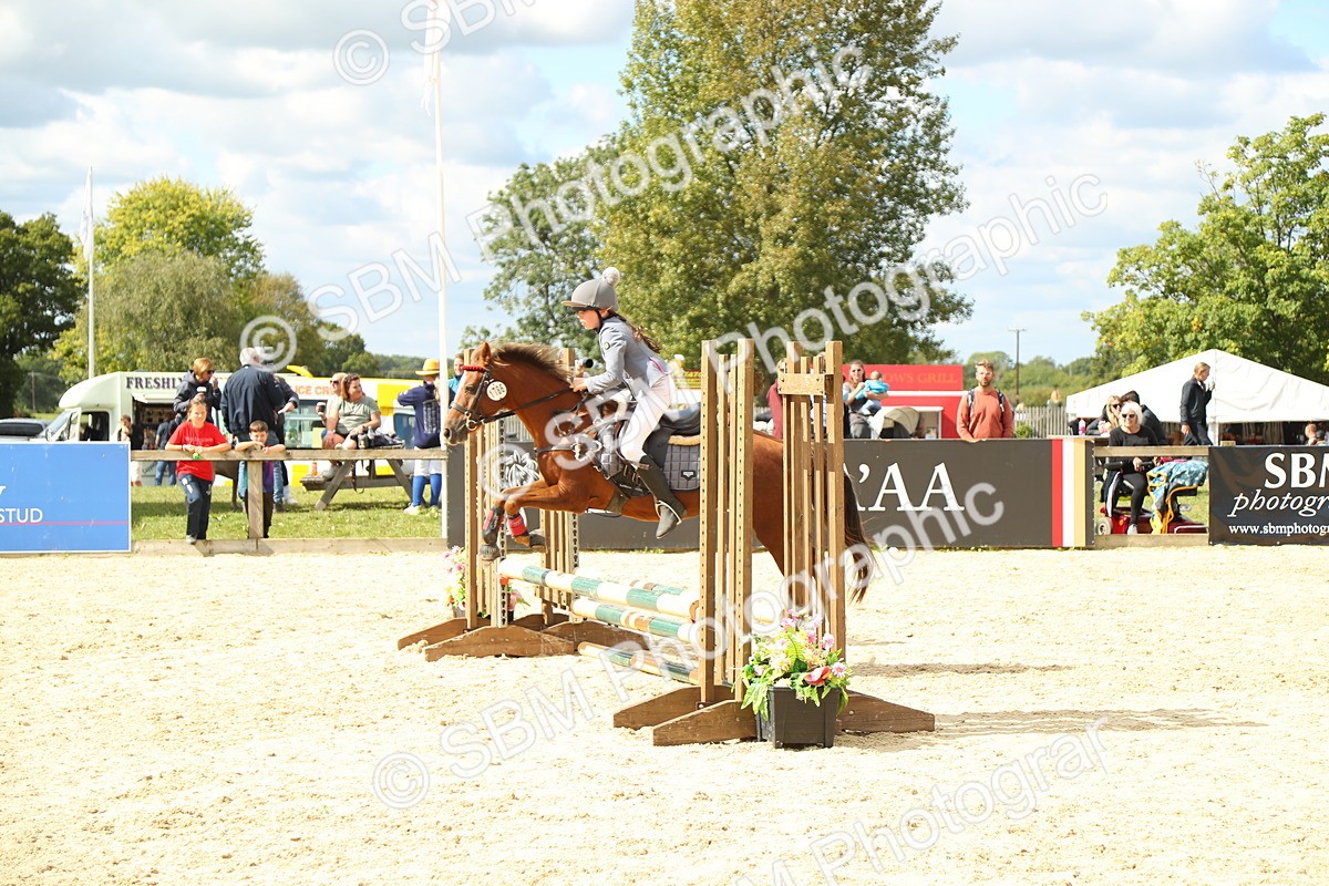 SBM_41337 - J6 - Junior Pony 55cm Championships