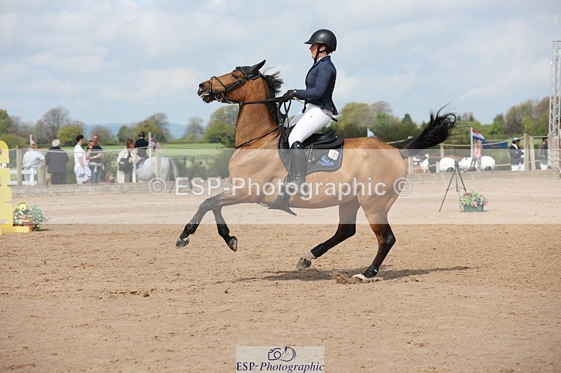 250427-110347-15778 - Cls 36 Young Horse 7yr old