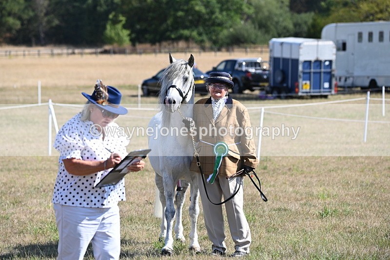 WJ6_4359 - Class 16 Condition & Turn Out