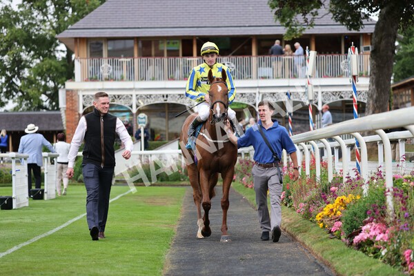 yr22072022r3-70 - Race 3 6.20pm Tomahawk Stakes