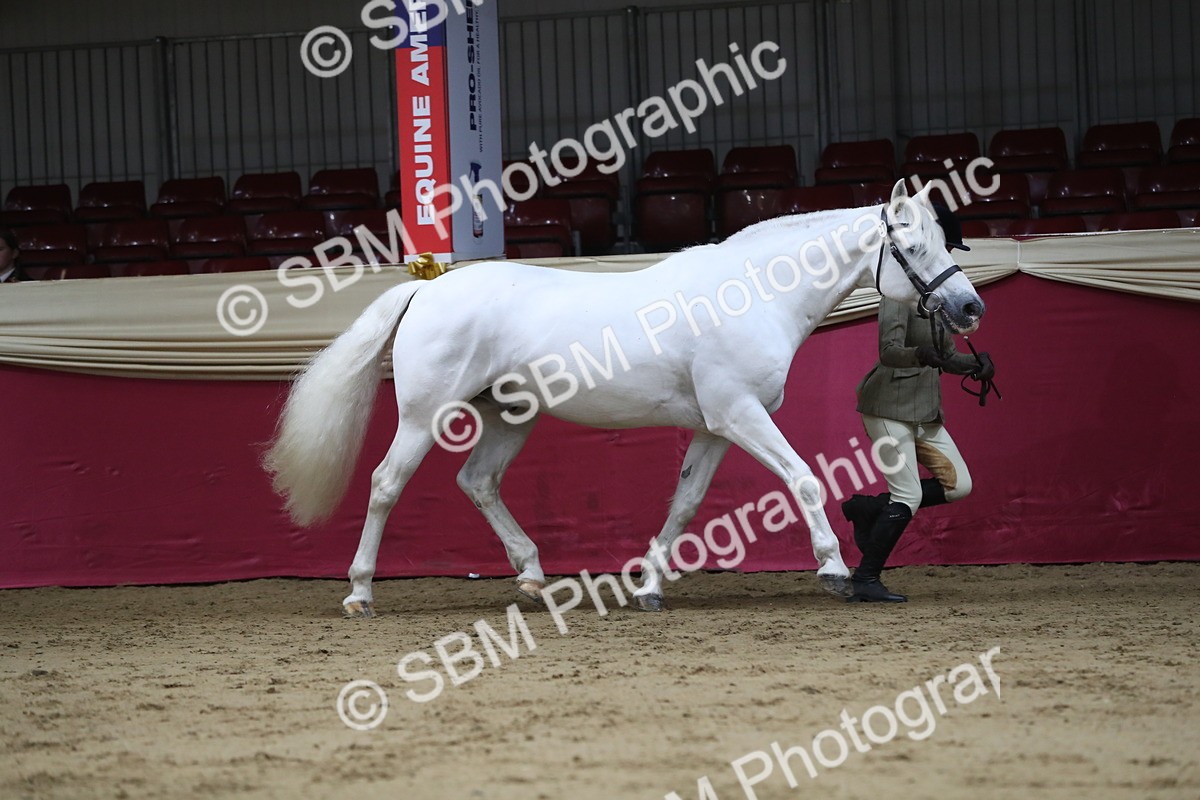 SBM_04402 - Class 7R Regional - IH Diamond