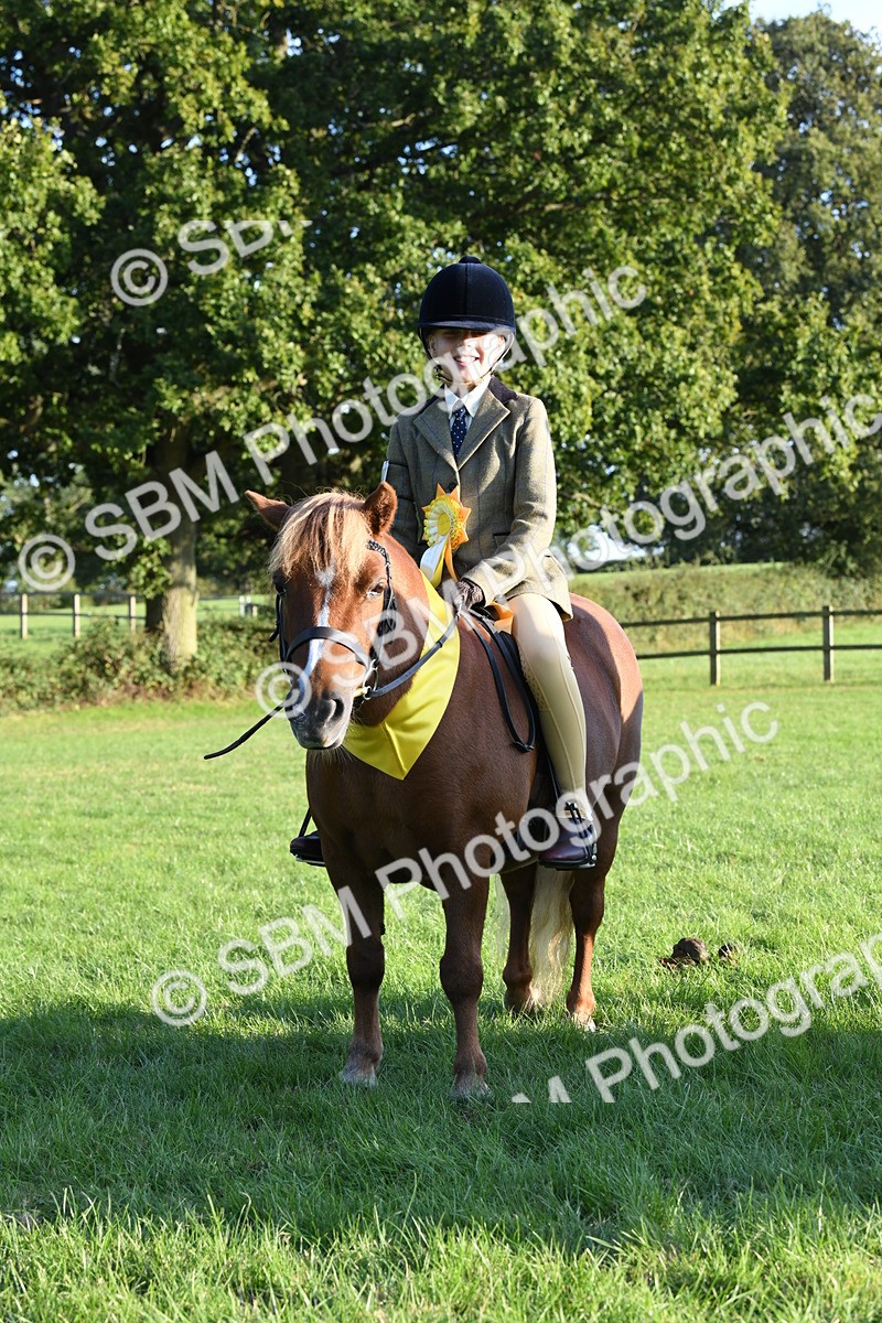 SBM_54166 - S23 - 1st Ridden Mountain & Moorland Pony