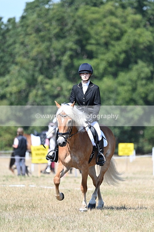 WJ7_0332 - Time 11:33 to 11:44