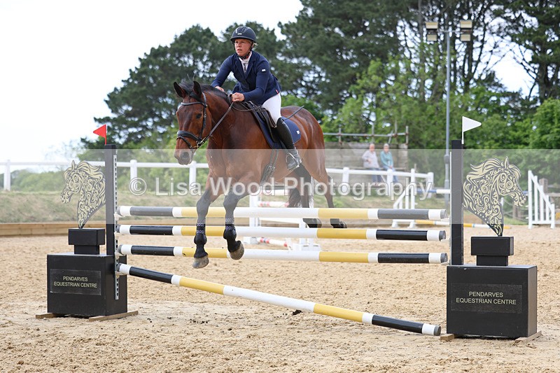 3E7A7888 - Class 8: Senior Foxhunter/1.20 open