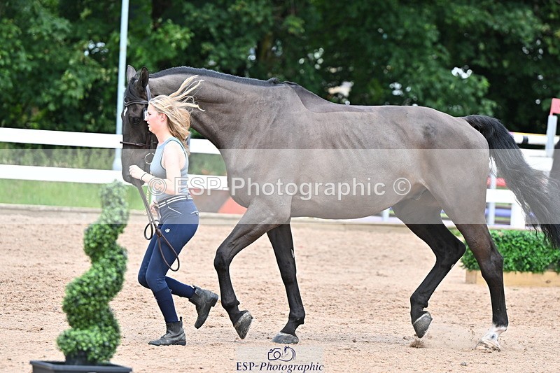 240718A-105324-01944 - Trot Up 2pm to 3pm - This folder is not in time order