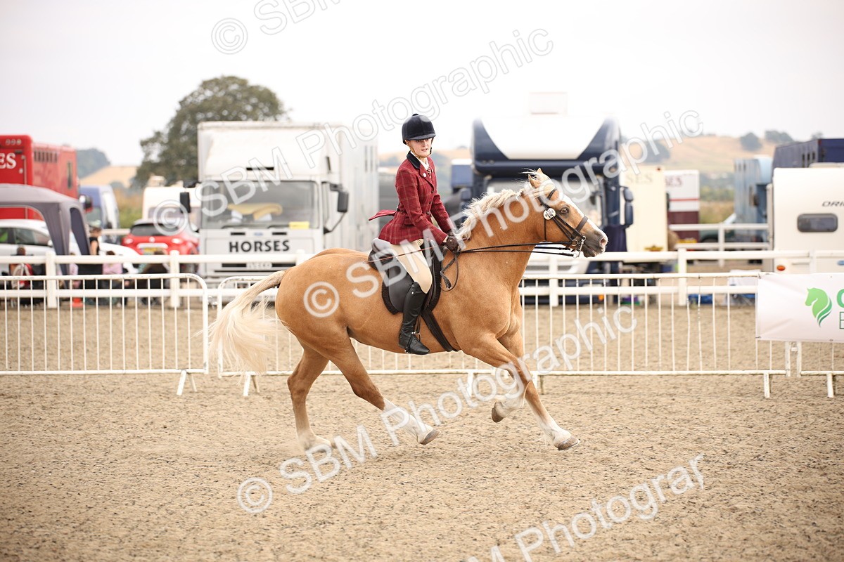 SBM_16206 - Class 409a - Working Veteran 80cm (15-19)