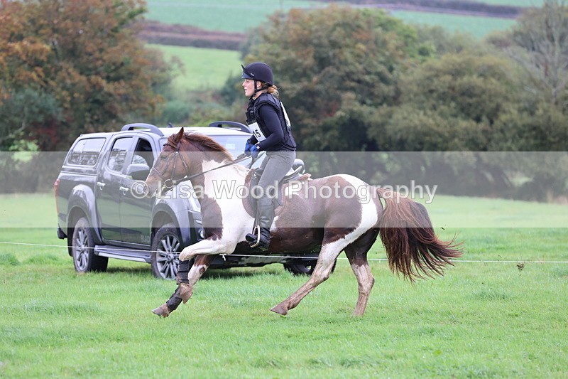 JPP_5362 - Class 3: 70cm Pairs: Zig Zag