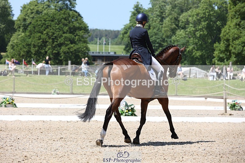 230526-130034-06301 - 164-TREBOR-Kelly_Mccarthy-maine-WEDTrotUp+DR