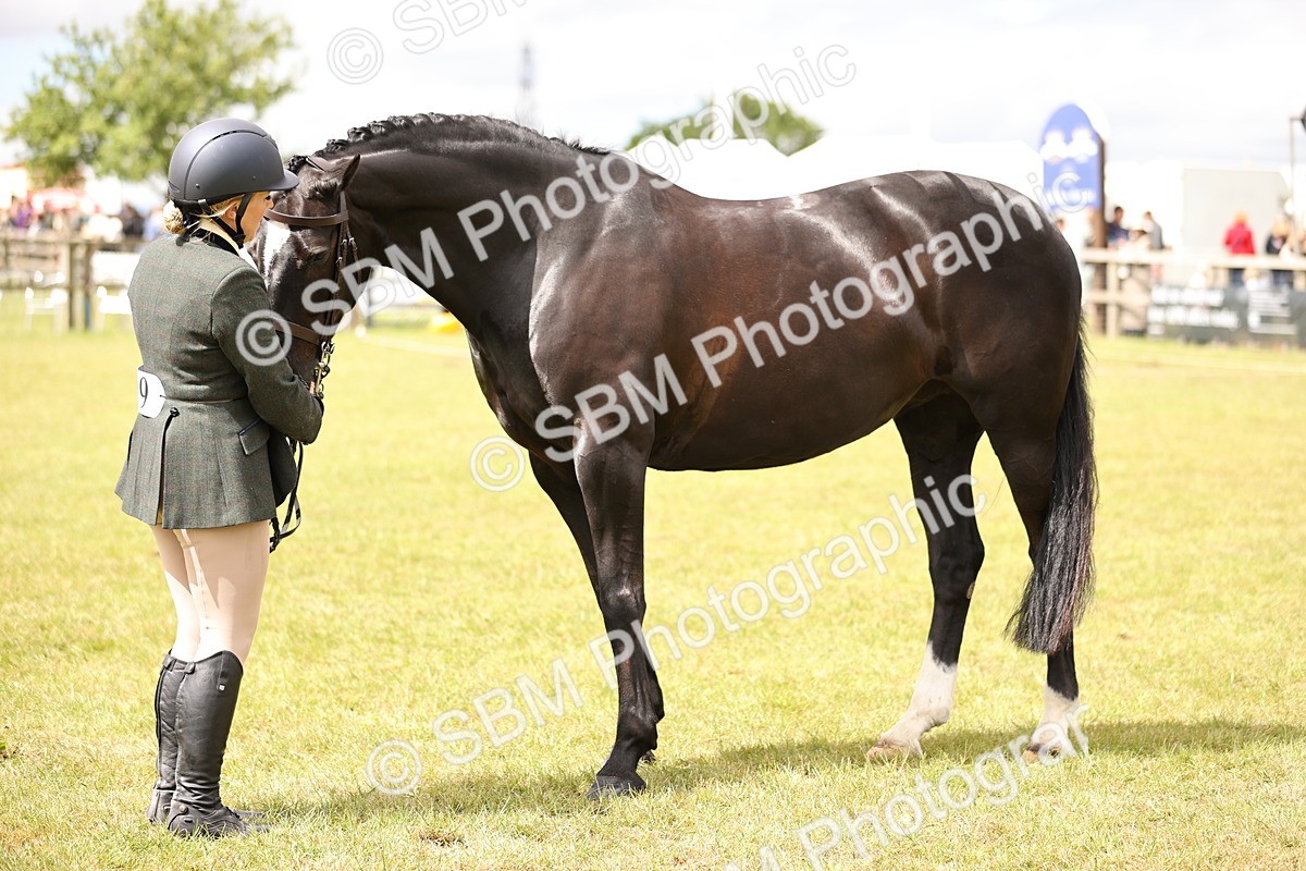 SBM_14608 - Class 88-89 - LIHS BSHA Rising Star of Ridden Hunter Type