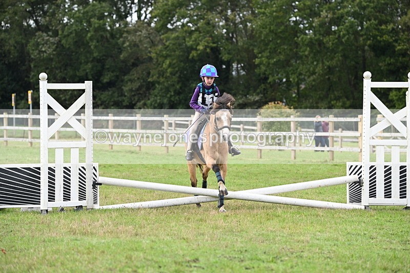 WJ6_0085 - 40cm Time 10:00 to 10:28