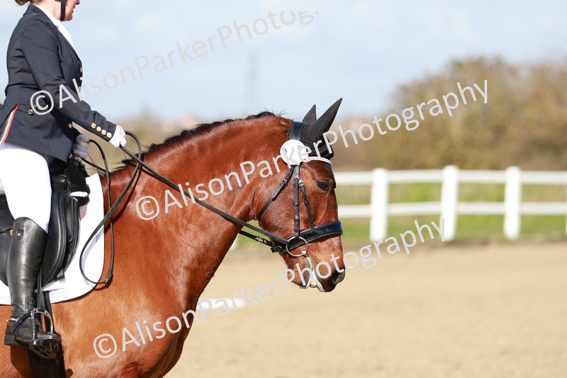 20260314-2876 - DR3 - Prelim 1