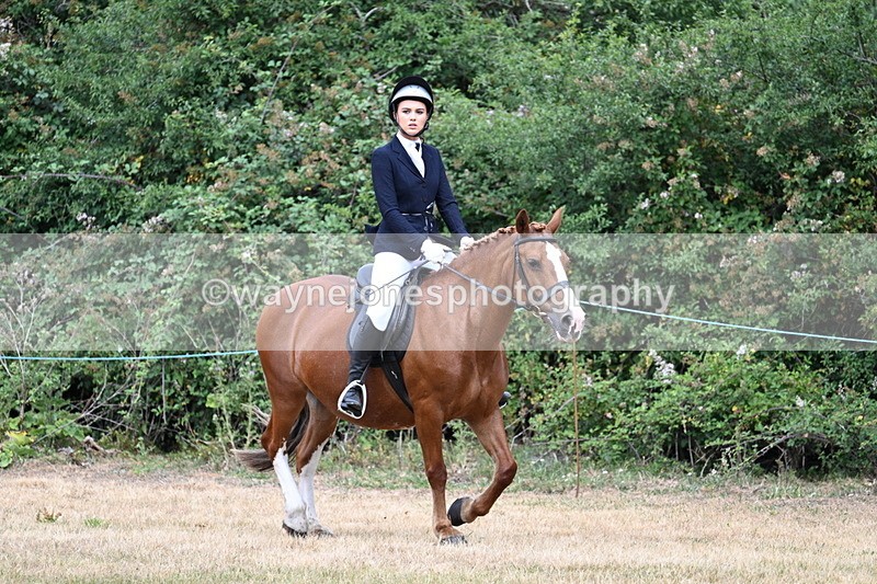 WJ7_0531 - Class 2 Best rider