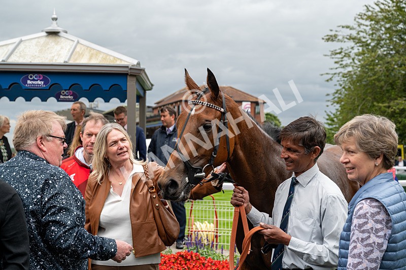 150824-Race 2-Greek Gift-2804 - Race 2