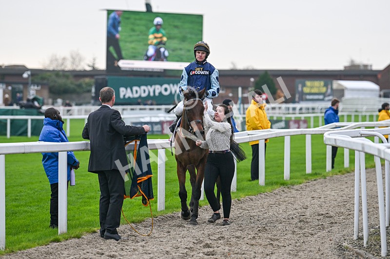 151124-Race 3-Edwardstone-7786 - Race 3