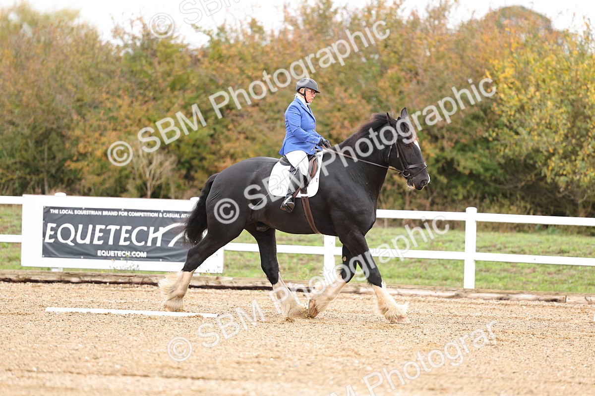 SBM_000080 - Intro 2