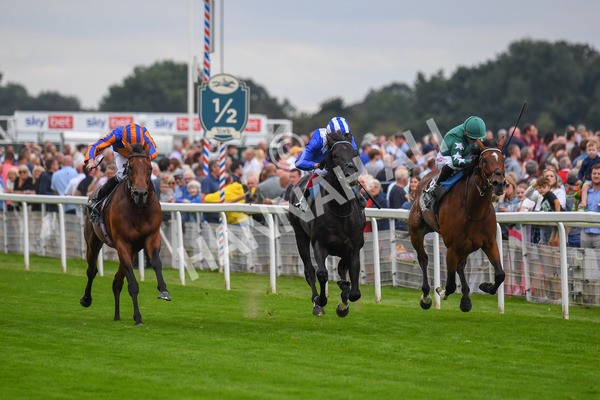230823-Race 4-Mostahdaf-0565 - Race 4 3.35pm Juddmonte International Stakes