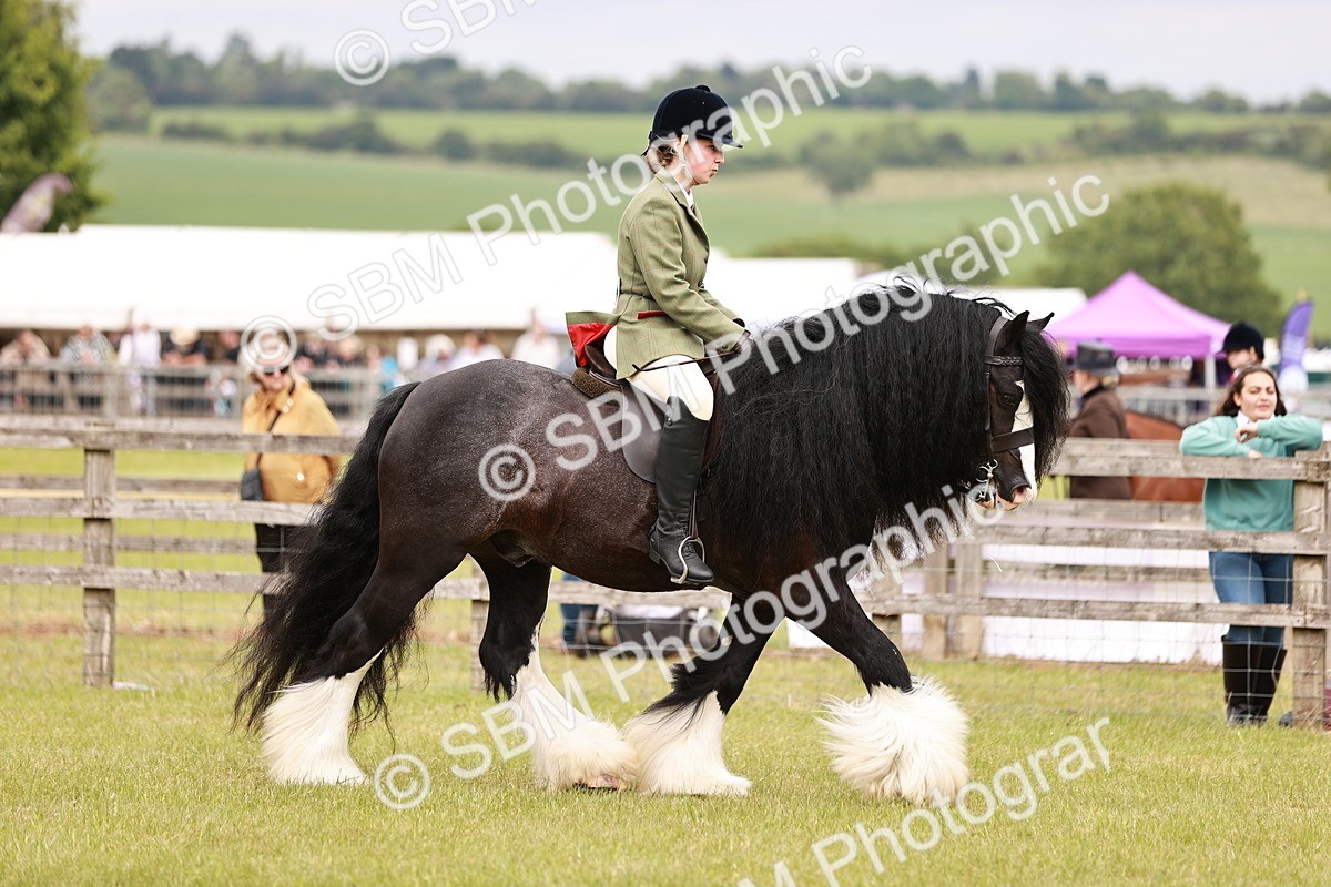SBM_06220 - Class 39-41 TGCA In Hand and Ridden