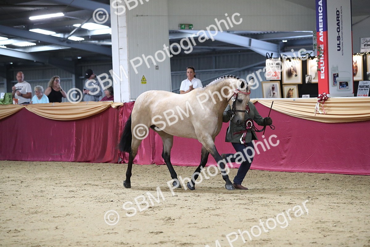 SBM_05069 - Class 8R- Regional -IH Veteran