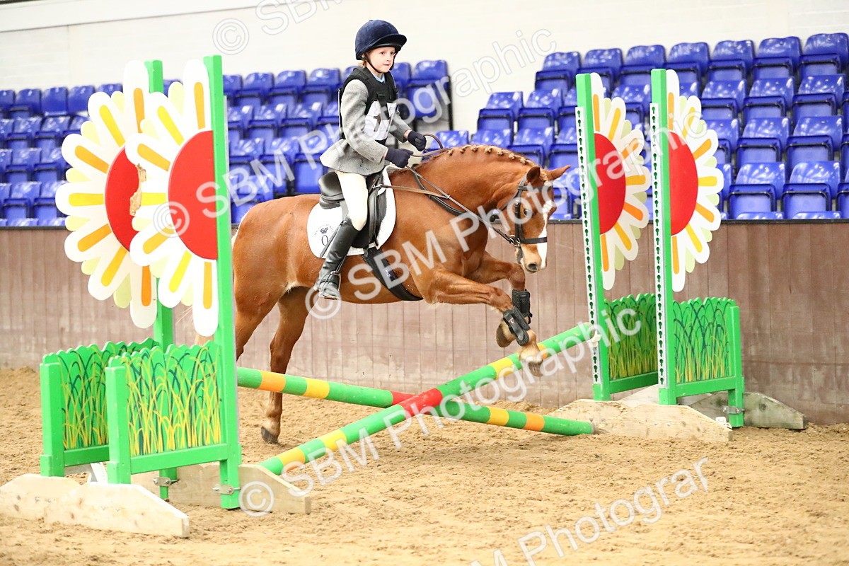 SBM_001186 - Class 3 - 50cm