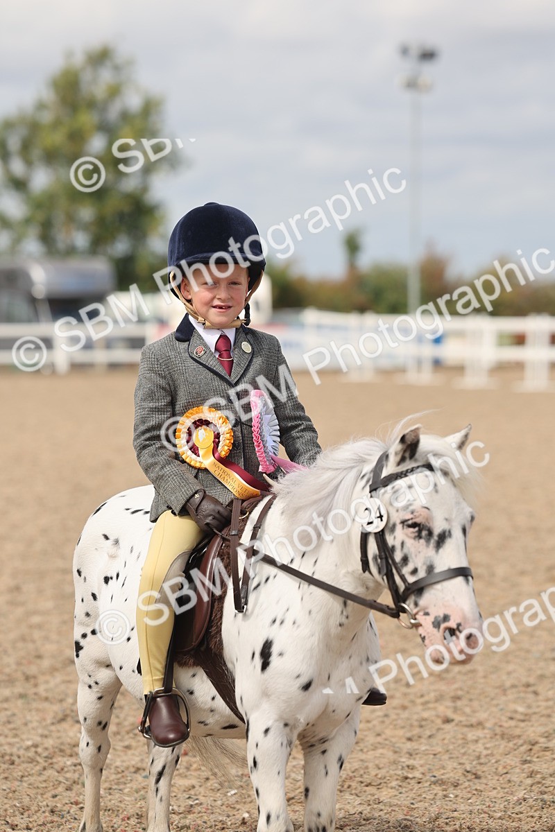 SBM_15934 - Class 310 - First Ridden Pony