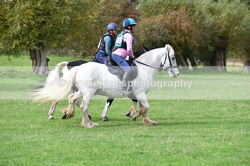 WJ5_0006 - Time 13:25 to 13:58