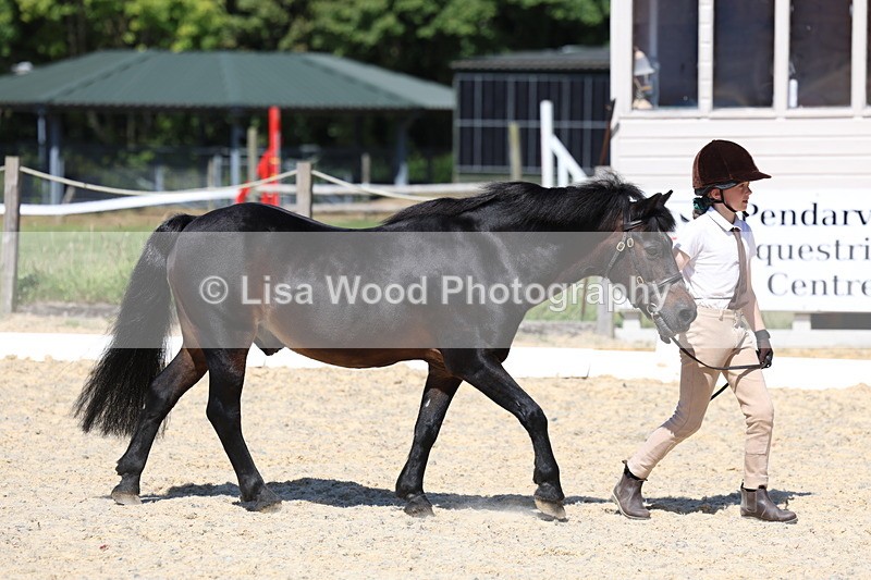 3E7A9375 - Class 29: Veteran In Hand