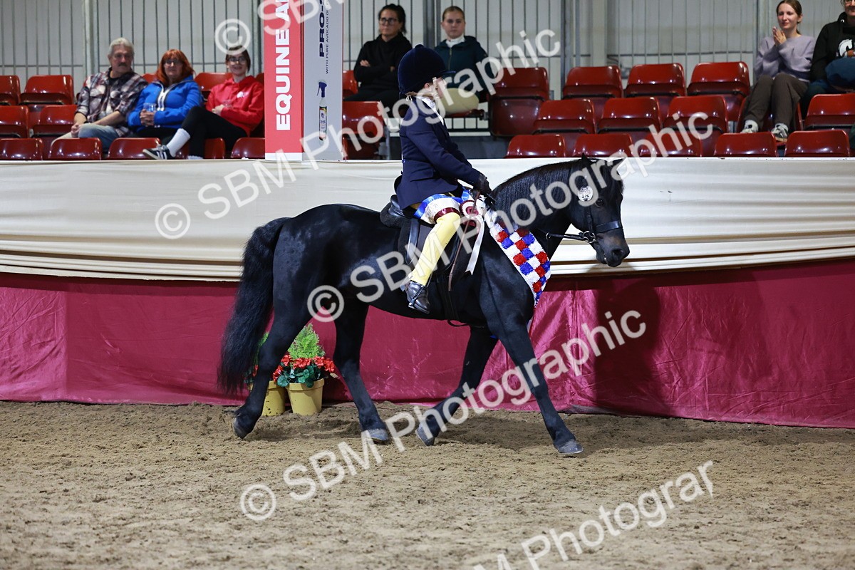 SBM_21395 - Class T - Working Veteran Champs