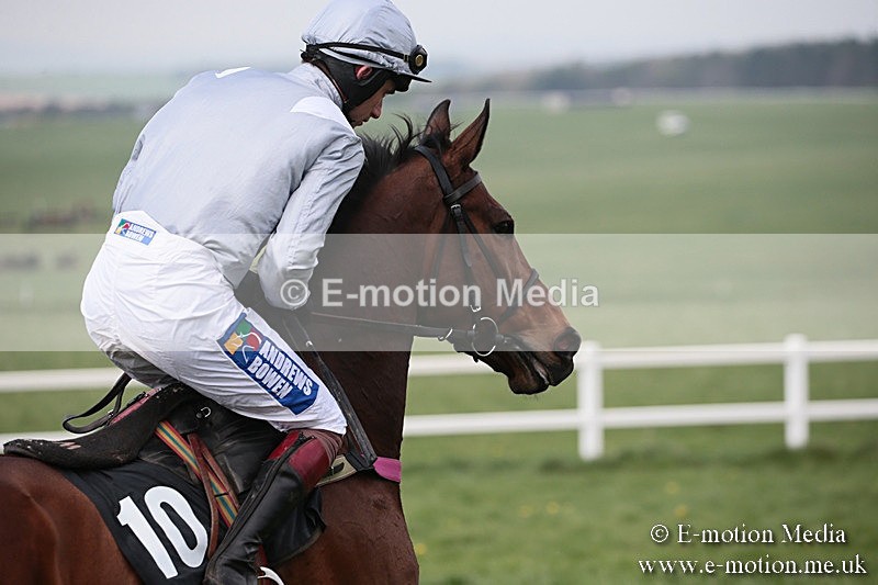 PtP 210418 321 - South & West Wilts Point-to-Point Larkhill 21/04/18