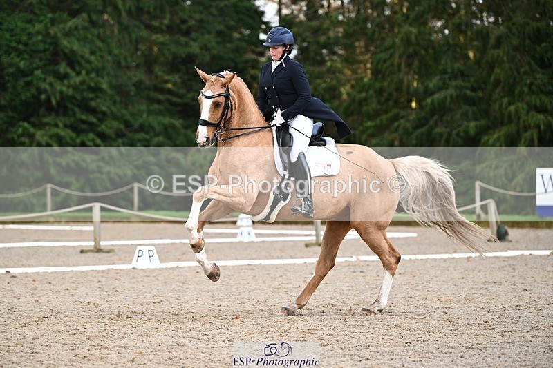 231110-153405-02236 - Cls 11 FEI PSG