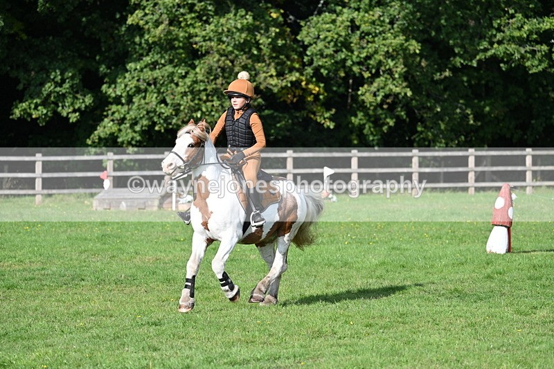 WJ7_3937 - 40cm Time 10:26 to 10:42